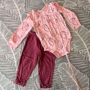 Carter's 100% Cotton Baby Toddler Girl 2-piece Bodysuit and Pants Matching Set